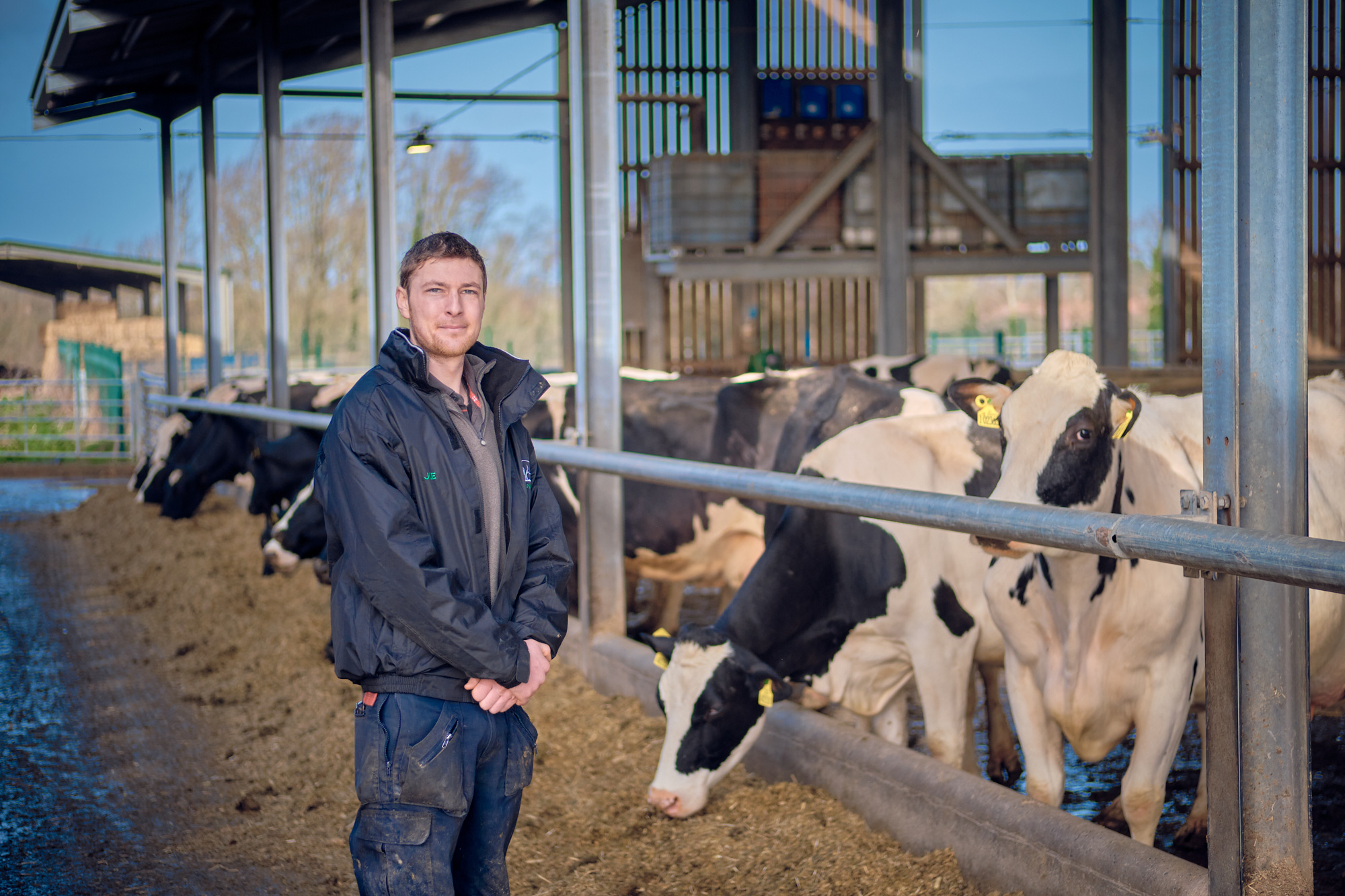 a man standing in front of a group of cows